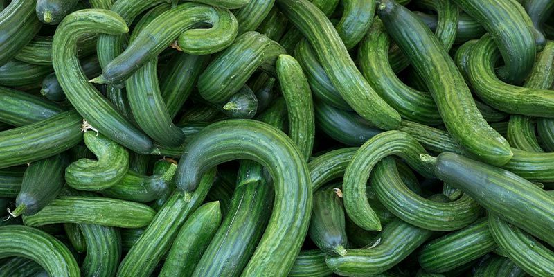 Możliwe problemy z roślinami