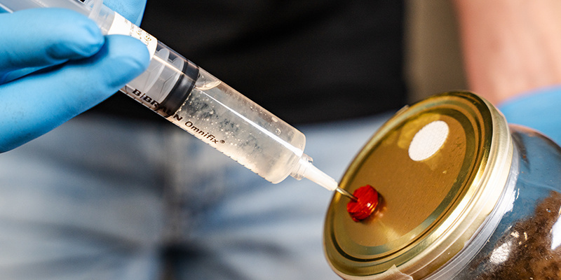 Inoculate the kit by sticking the syringe into the medium through the injection port Inoculate the kit by sticking the syringe into the medium through the injection port