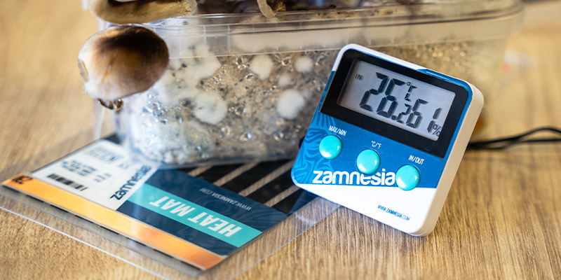 Use a heat mat to keep the temperature between 21–24°C Use a heat mat to keep the temperature between 21–24°C