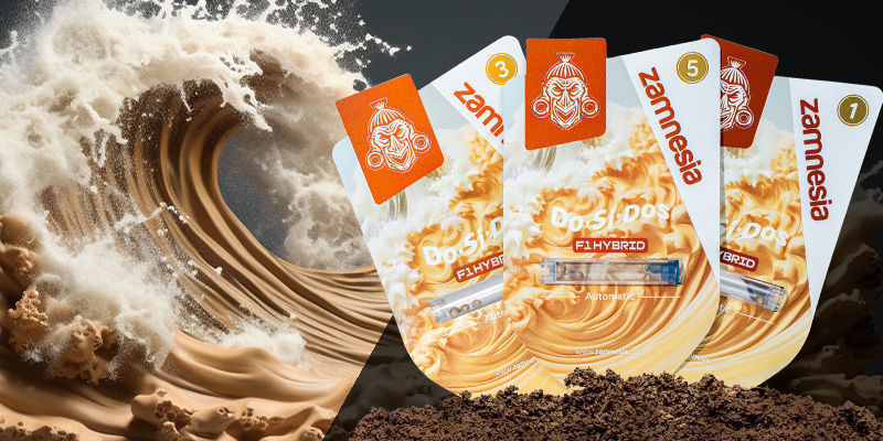 Do-Si-Dos F1 Hybrid Automatic Do-Si-Dos F1 Hybrid Automatic