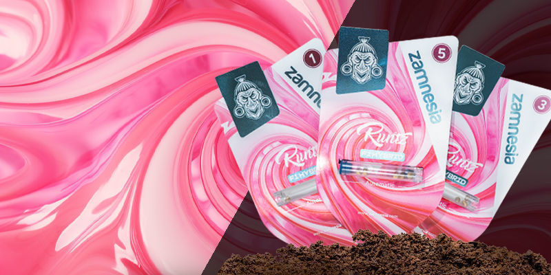 Runtz F1 Hybrid Automatic Runtz F1 Hybrid Automatic