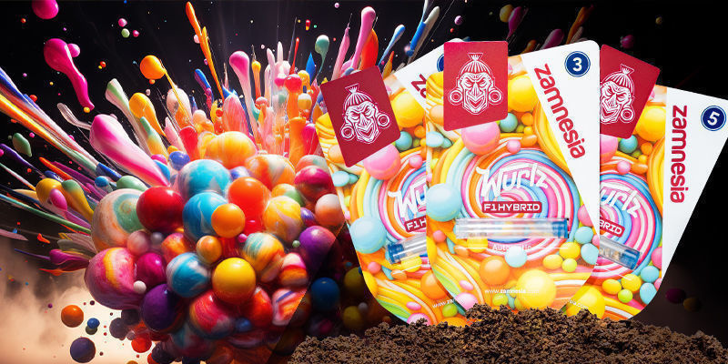 Wurlz F1 Hybrid Automatic Wurlz F1 Hybrid Automatic