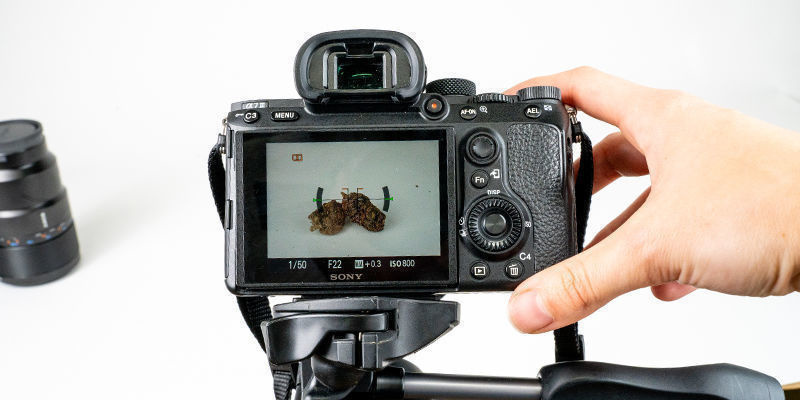 Sztuka robienia dobrych zdjęć topów Sztuka robienia dobrych zdjęć topów