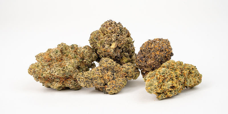 Dlaczego warto robić zdjęcia marihuany? Why take pictures of cannabis?