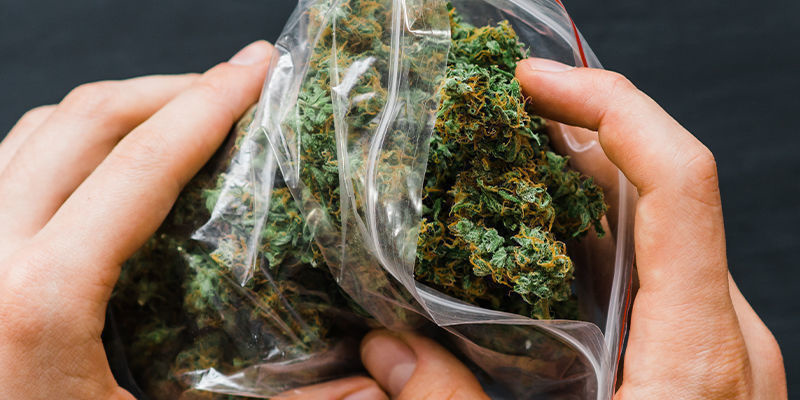 Czym są bezzapachowe torby? Czym są bezzapachowe torby?