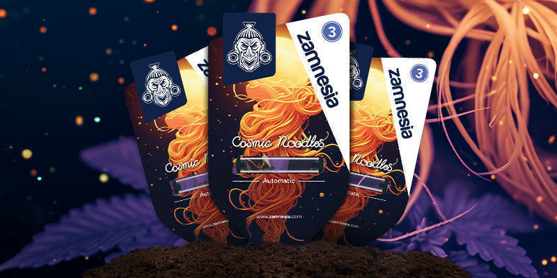 Cosmic Noodles Cosmic Noodles