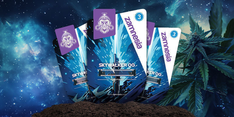 Skywalker OG Skywalker OG