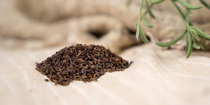 Peganum Harmala: Magical Seeds With Much Still To Learn Peganum Harmala: Magical Seeds With Much Still To Learn