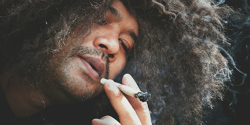 Konopia i włosy — złożona relacja Konopia i włosy — złożona relacja