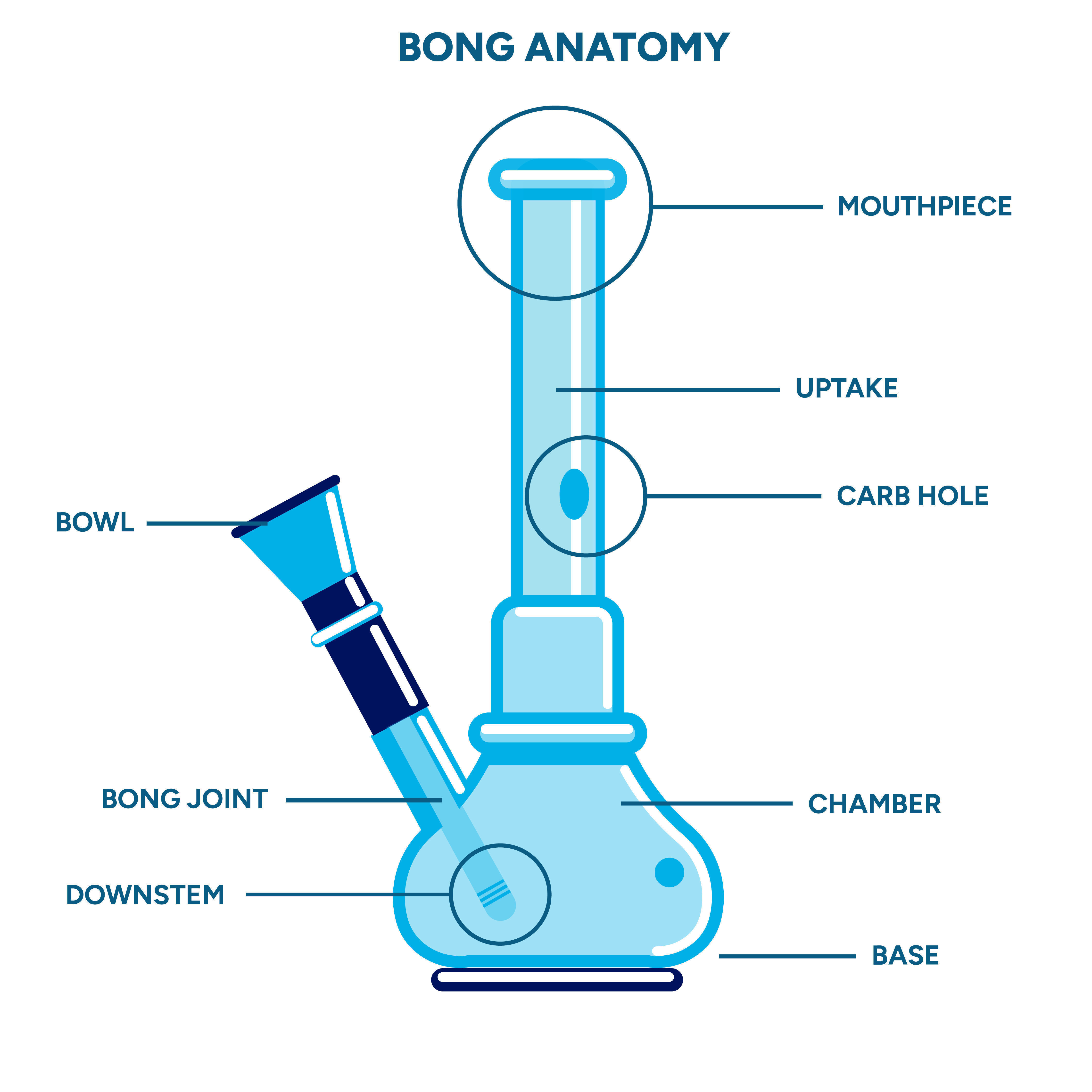 Anatomy Of A Bong Anatomy Of A Bong