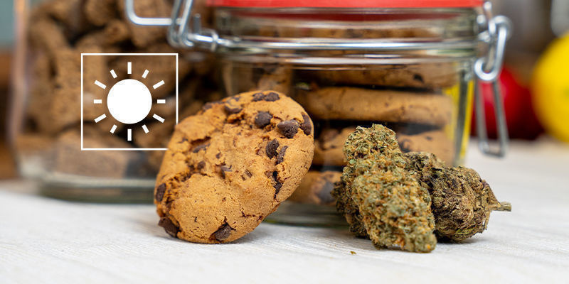 Chroń przed światłem