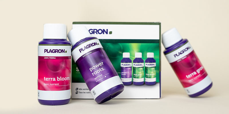 Jak wyleczyć niedobór azotu? Jak wyleczyć niedobór azotu?