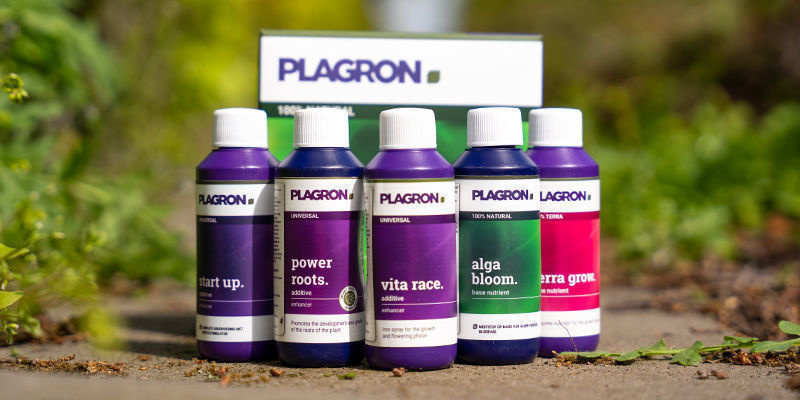 Planowanie, zapobieganie i Plagron Planowanie, zapobieganie i Plagron