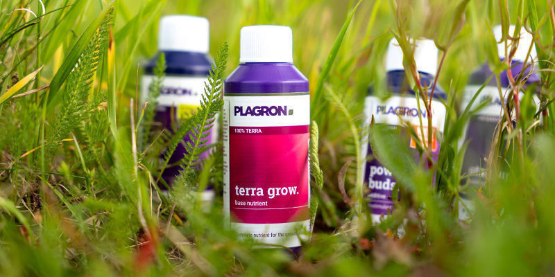 Jak możesz zapobiec niedoborowi azotu? Jak możesz zapobiec niedoborowi azotu?