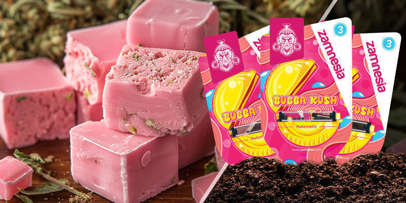 Bubba Kush Bubba Kush