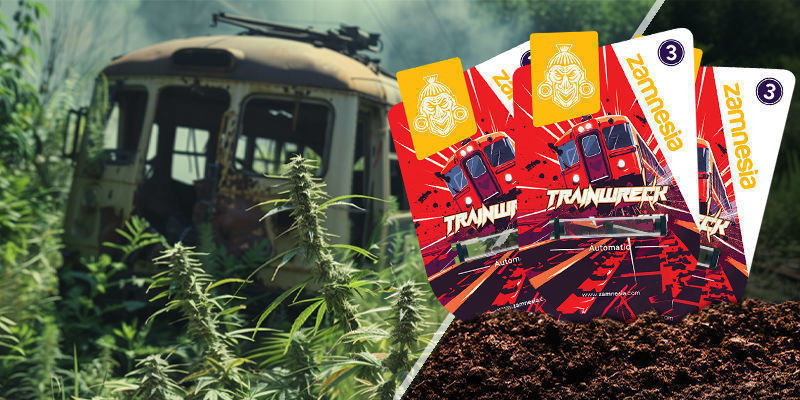 Trainwreck Trainwreck