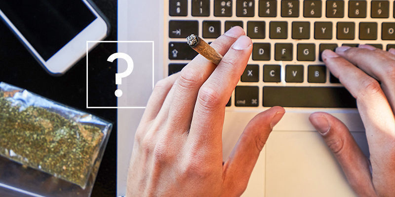 Najczęściej wyszukiwane w sieci pytania o marihuanę – odpowiedzi Najczęściej wyszukiwane w sieci pytania o marihuanę – odpowiedzi