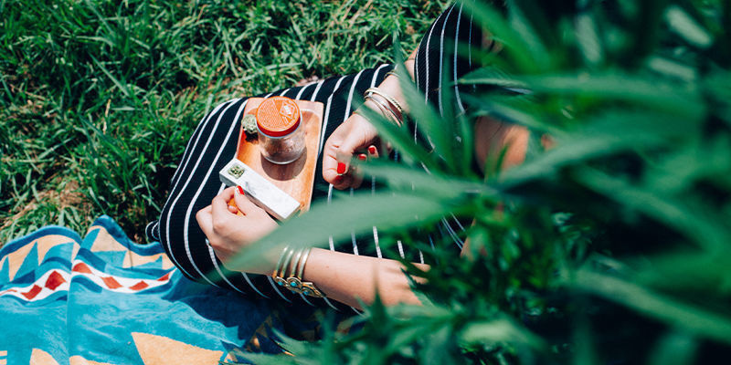 Do czego wykorzystuje się konopie? Do czego wykorzystuje się konopie?