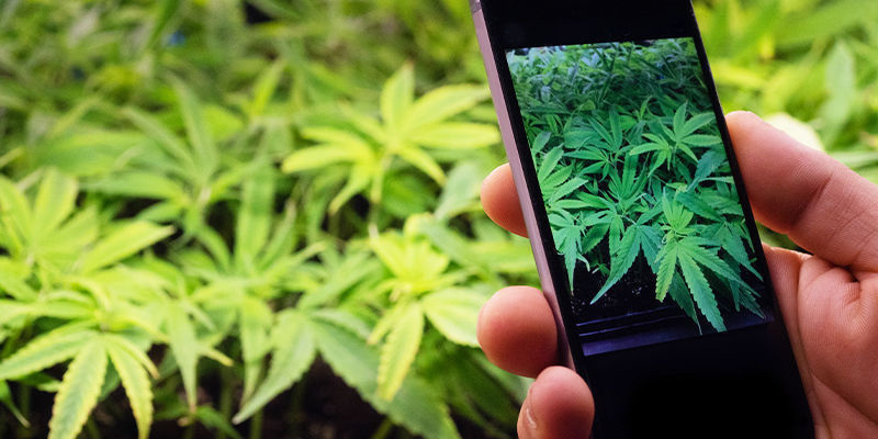 AI And Apps AI And Apps