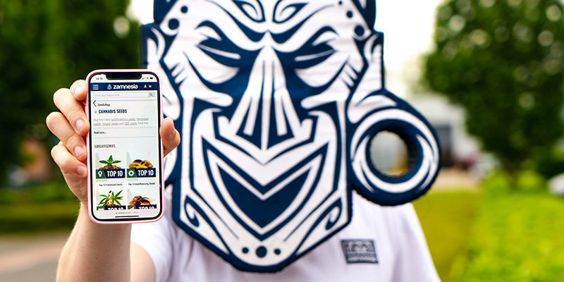 Rozkręć swoją imprezę z marihuaną Rozkręć swoją imprezę z marihuaną