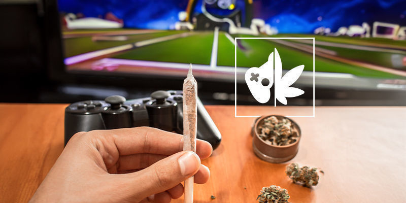 Cannagamers: Kim oni są? Cannagamers: Kim oni są?