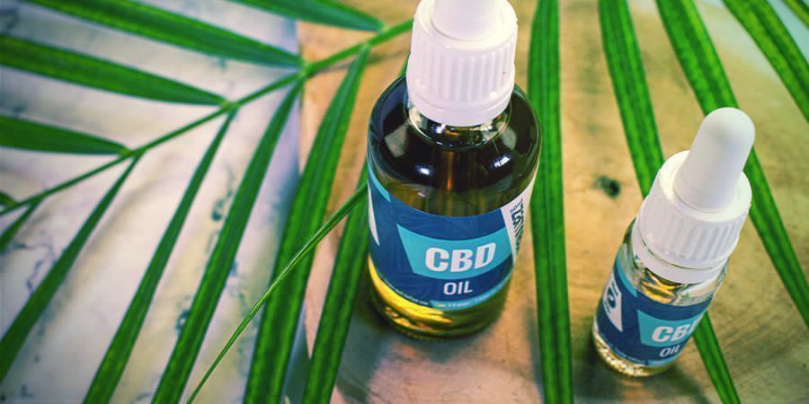 Jak możesz skorzystać z flawonoid&oacute;w, terpen&oacute;w i terpenoid&oacute;w?