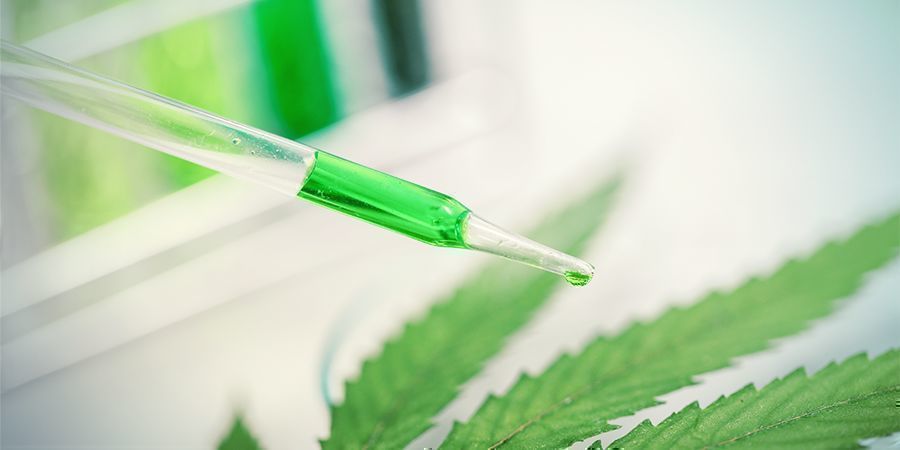 Jak działają terpenoidy?