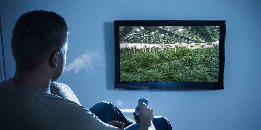 Dobieranie odmian marihuany do dokumentów PAIRING WEED WITH DOCUMENTARIES
