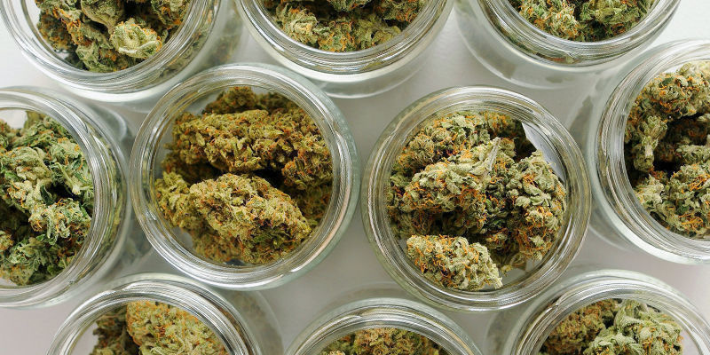 Jaki jest najlepszy proces suszenia i curingu marihuany?