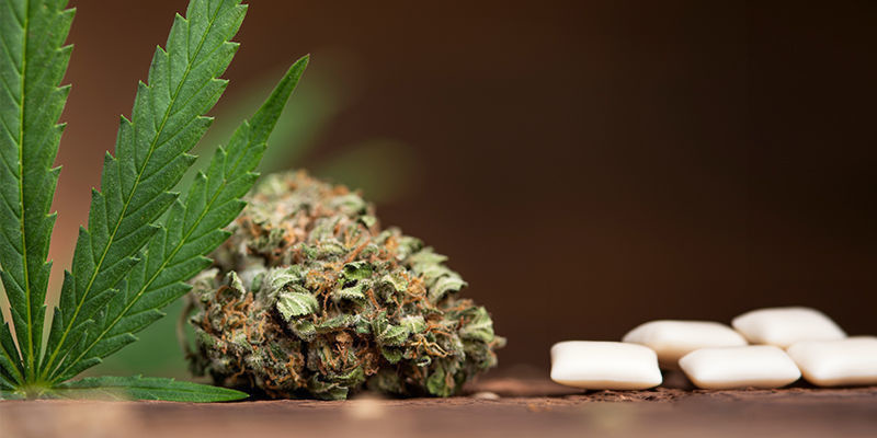 Guma do żucia z marihuaną