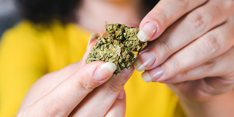 Czy kwiat THCa jest legalny? Czy kwiat THCa jest legalny?