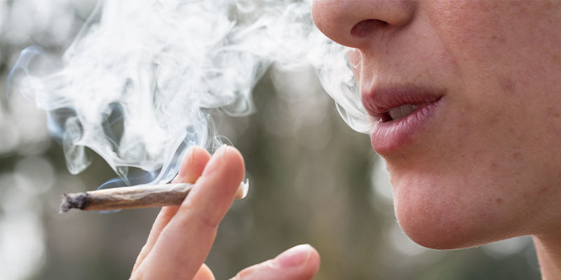 Do czego służy THCa? Do czego służy THCa?