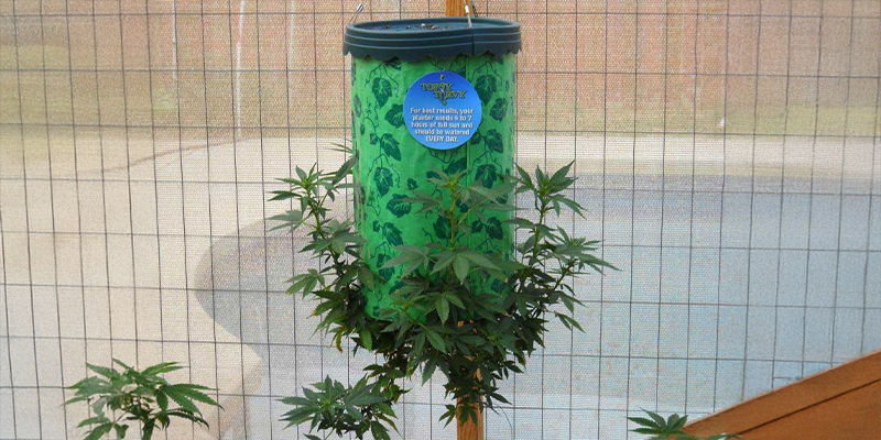 Na czym polega odwrócona uprawa?