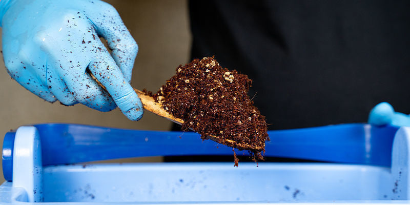 Podłoże pasteryzowane