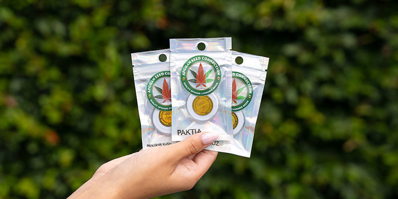 Rozpocznij własną afgańską przygodę już teraz Rozpocznij własną afgańską przygodę już teraz