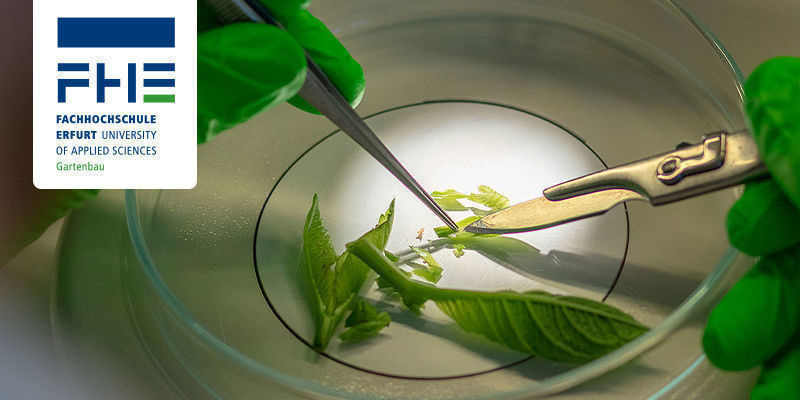 Fachhochschule Erfurt Fachhochschule Erfurt