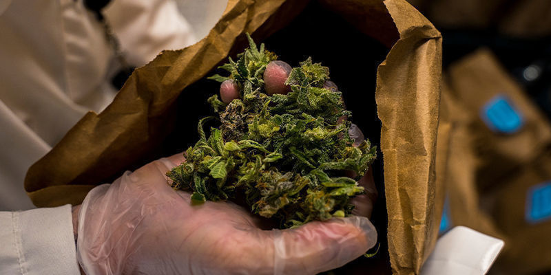 Wysiłki społeczności i anegdoty Wysiłki społeczności i anegdoty