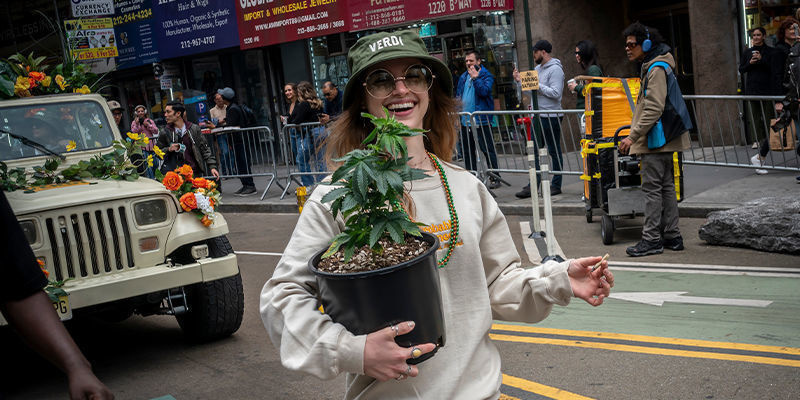 Dziedzictwo i popularność Dziedzictwo i popularność