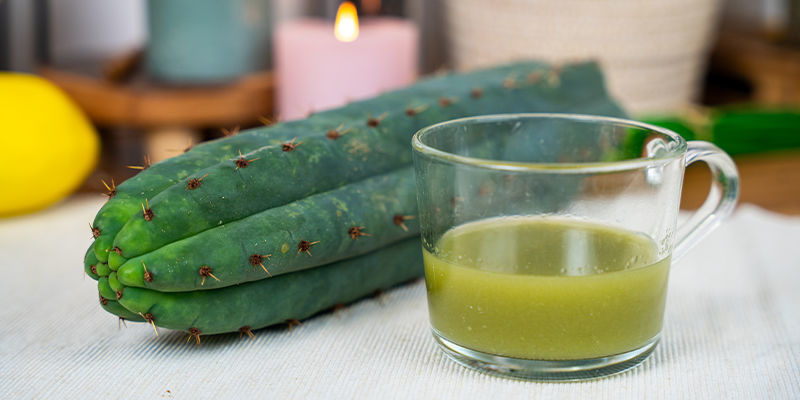 Metoda przyjmowania Metoda przyjmowania