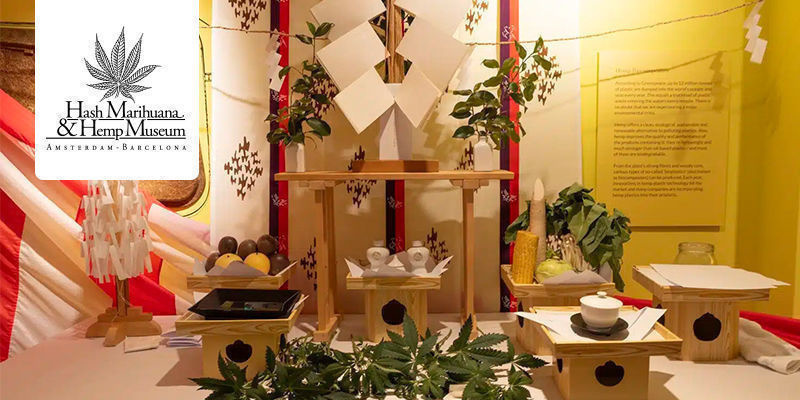 Muzeum Haszyszu, Marihuany i Konopi – Amsterdam/Barcelona Muzeum Haszyszu, Marihuany i Konopi – Amsterdam/Barcelona