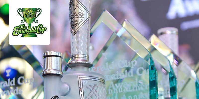 The Emerald Cup - California, USA The Emerald Cup - California, USA