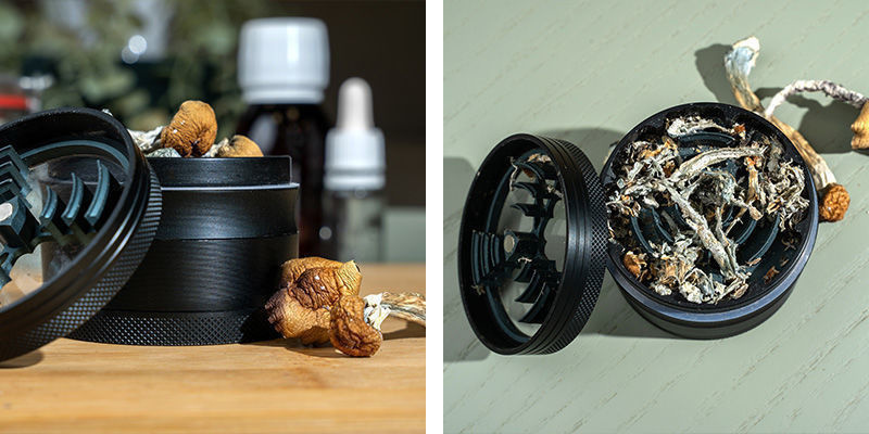 Zmiel suszone grzyby Grind the dried mushrooms