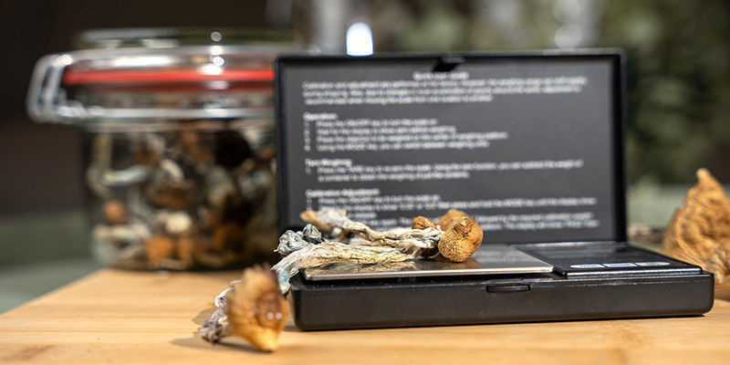 How To Make Mushroom Drops How to make mushroom drops