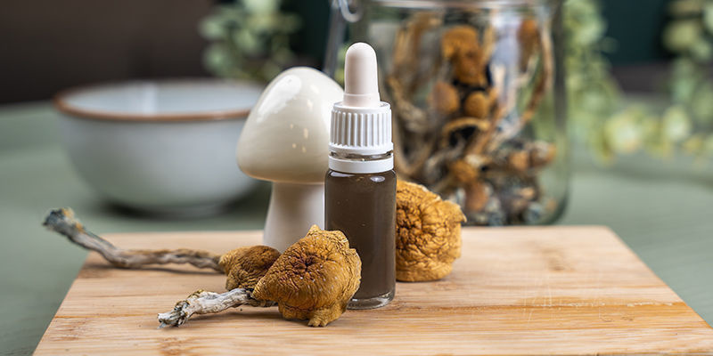 Magic Mushroom Tinctures: Easy! Magic mushroom tinctures: Easy!