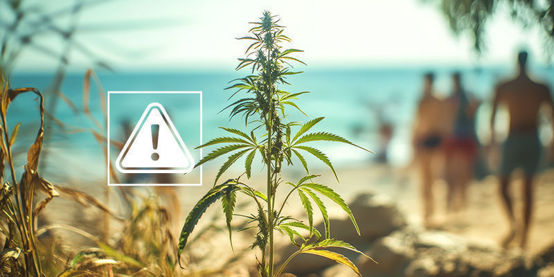 Możliwe problemy Możliwe problemy