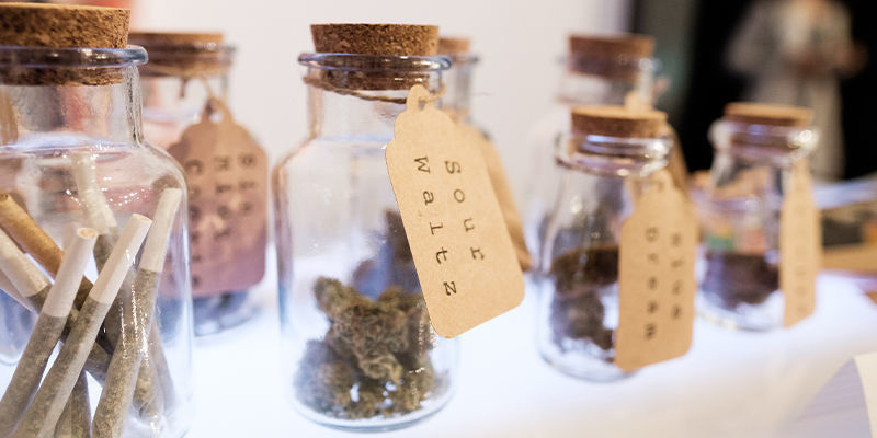 Kluby konopne w Niemczech: nieznany teren