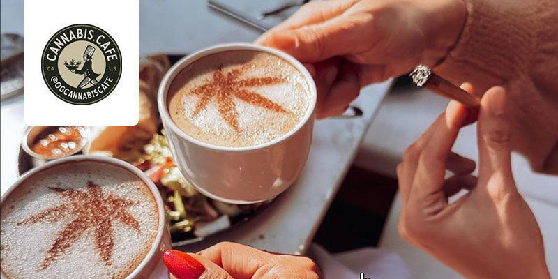 Kawiarnia Cannabis: Hollywood, USA Cannabis Cafe: Hollywood, USA