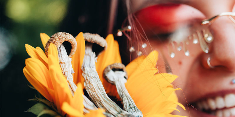 Piętno otaczające psychodeliki Piętno otaczające psychodeliki