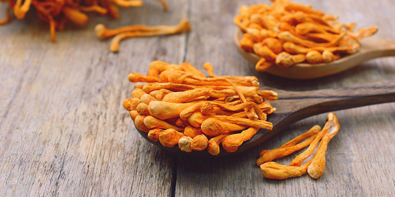 Składniki immunomodulujące Składniki immunomodulujące