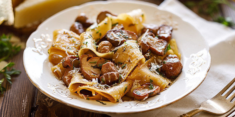 Czy jedzenie grzybów codziennie jest zdrowe? Is It Healthy To Eat Mushrooms Every Day?